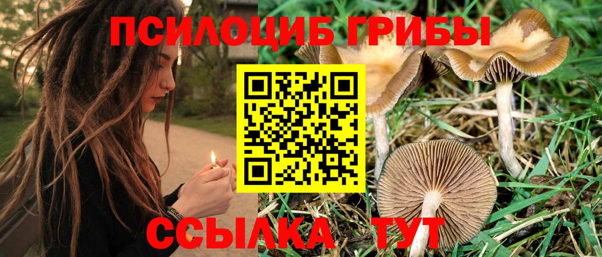Псилоцибиновые грибы Magic Shrooms  Вход с VPN  Тельмана 